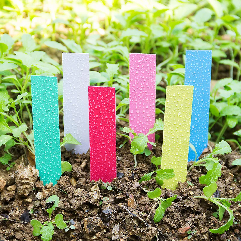 Garden Label Marker - 100Pcs Tebal 4Inch Tanaman Label Dapat