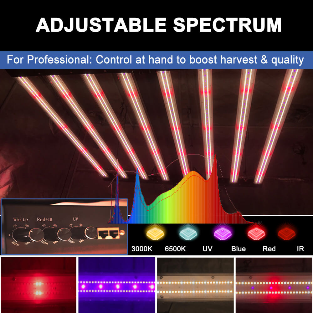 Lampu Tumbuh LED US Stock PPFD - Led Grow Light ulasan dan harga