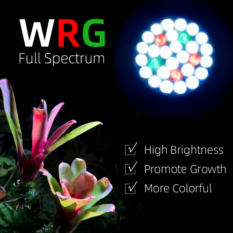 Lampu LED Spektrum Penuh Y30SE - Led Grow Light ulasan dan harga
