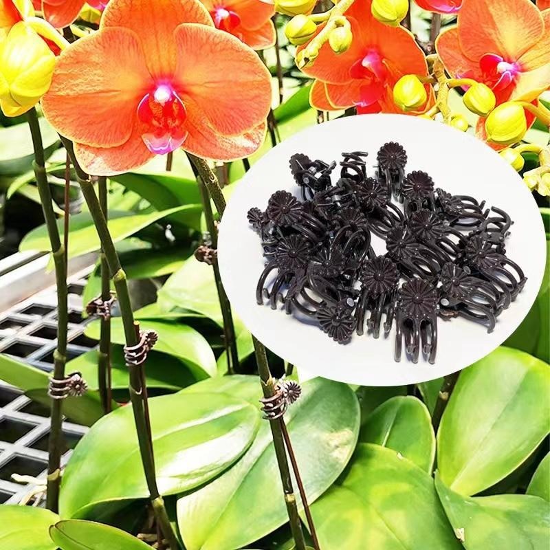 Klip Penyangga Tanaman Mini Gr - Gardening Tools Store ulasan dan harga
