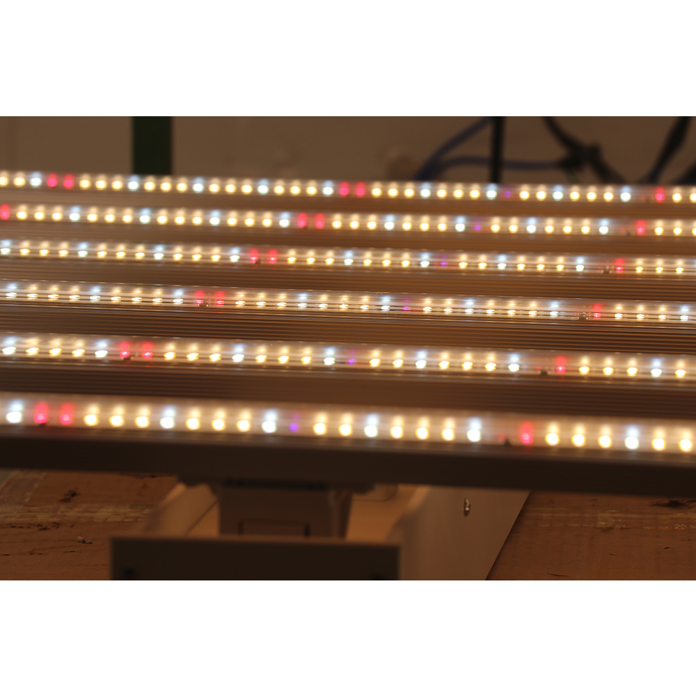 Lampu Tanam LED Spider 600w La - Led Grow Light ulasan dan harga