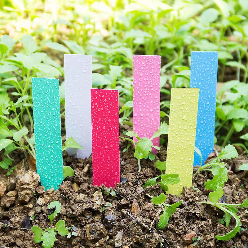 100 Buah Label Tanaman Kebun L - Garden Label Marker ulasan dan harga