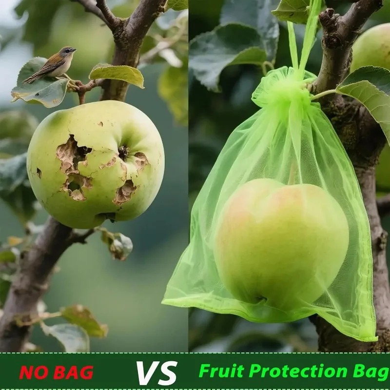 Kantong Pelindung Buah Grosir  - Gardening Tools Store ulasan dan harga