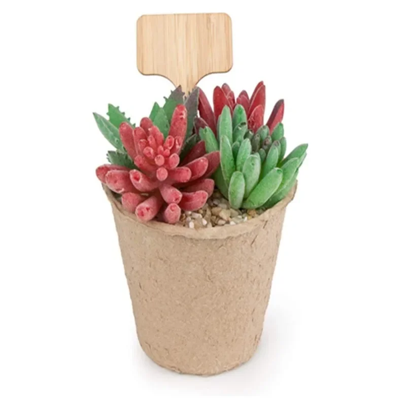 10 Buah Label Tanaman Kayu Tip - Plant Label Tags ulasan dan harga