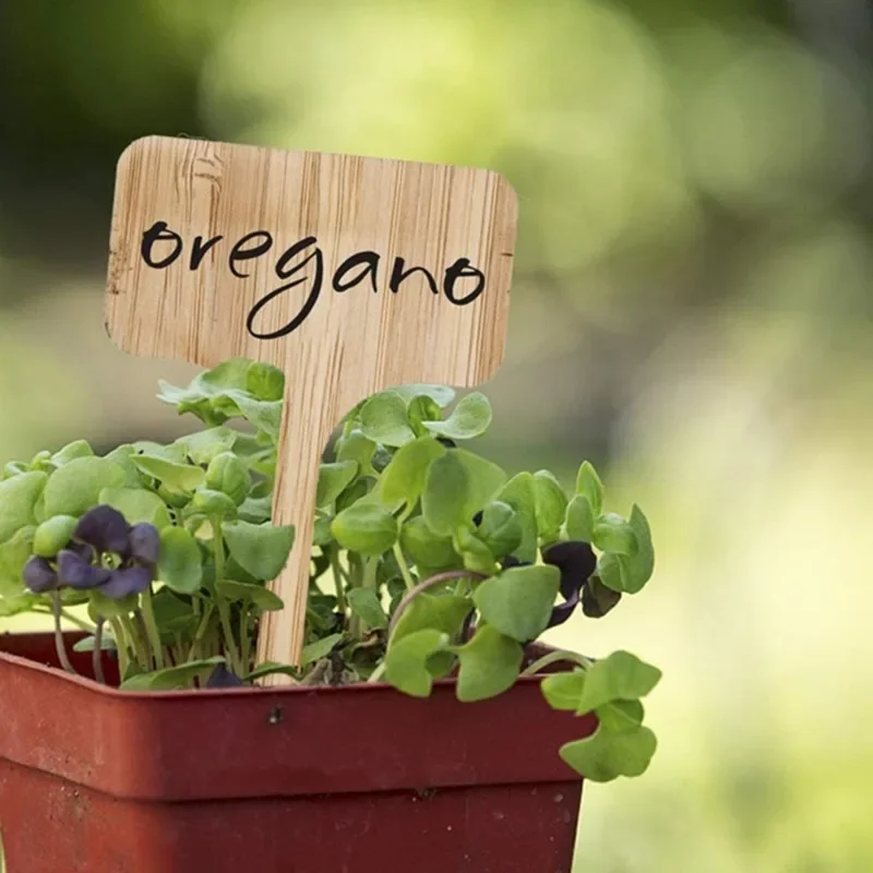 10 Buah Label Tanaman Kayu Tip - Plant Label Tags ulasan dan harga