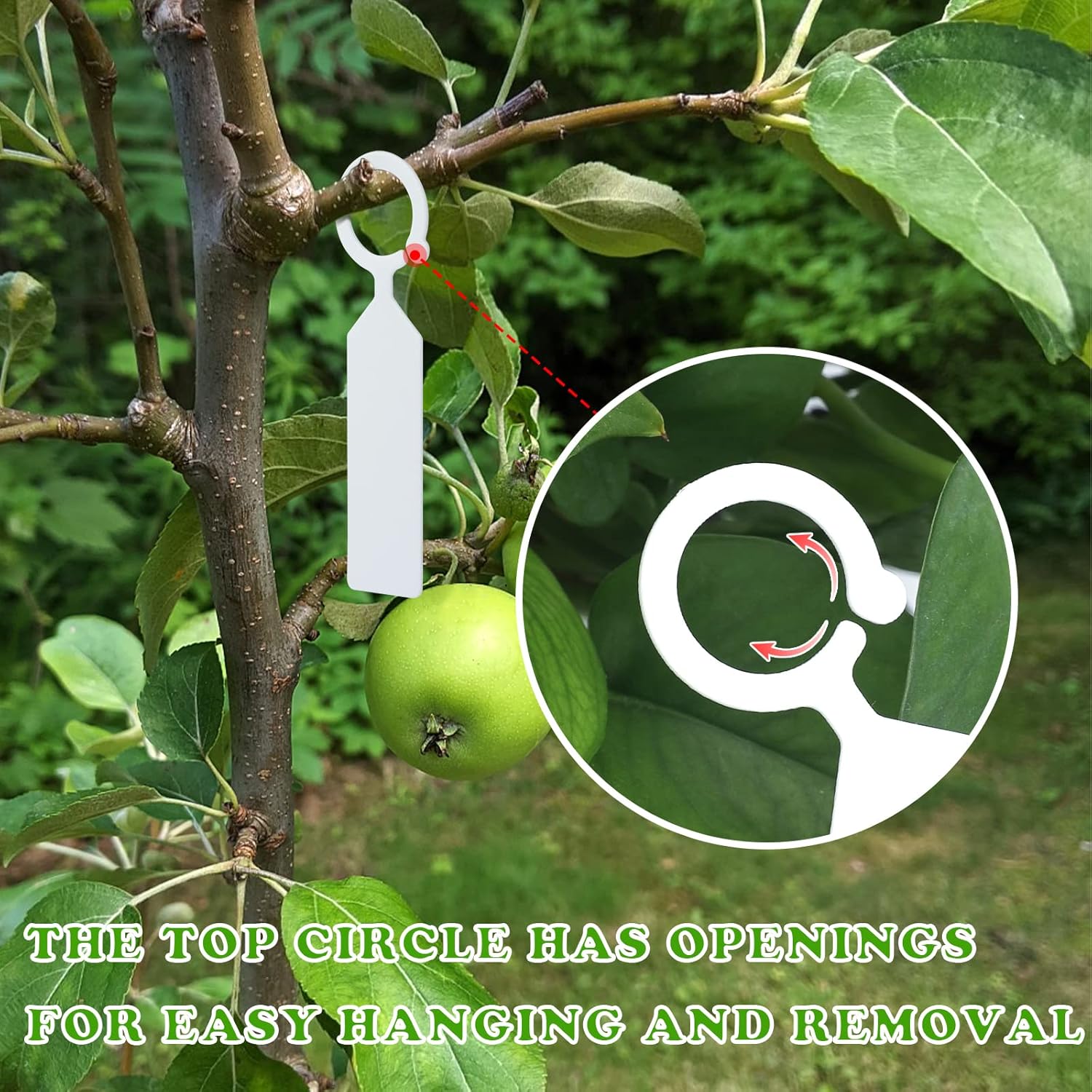 100 PCS Label Tanaman Gantung  - Garden Label Marker ulasan dan harga