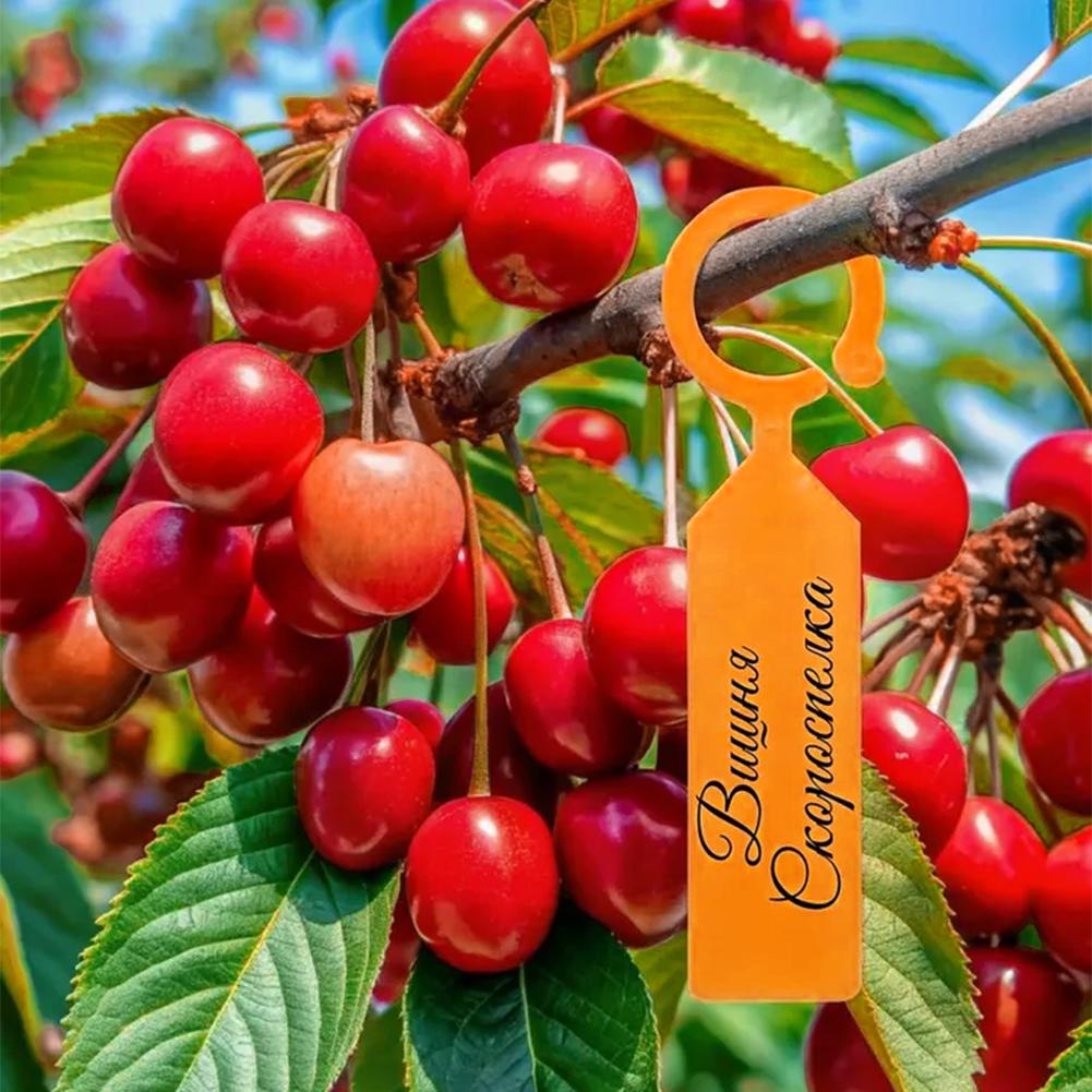 Penanda Tanaman Taman, Cincin  - Garden Label Marker ulasan dan harga