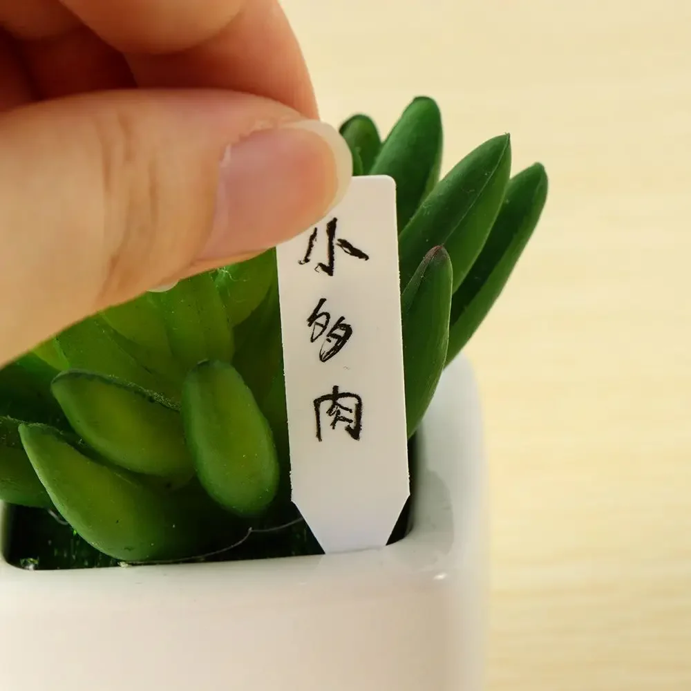 100 Buah Penanda Klasifikasi D - Garden Label Marker ulasan dan harga
