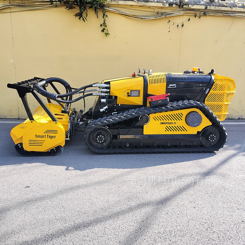 Mesin Pemotong Rumput dan Pemb - Gardening Tools Store ulasan dan harga